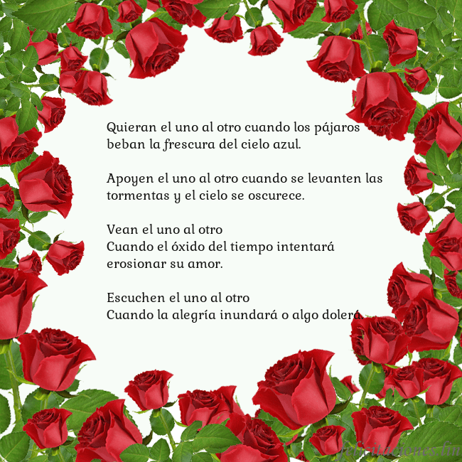 Tarjeta con con muchas rosas Quieran el uno al otro cuando los pájaros beban la Tarjeta con con muchas rosas