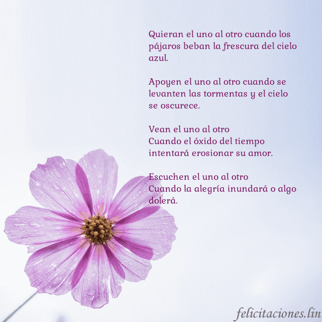 Tarjeta electrónica con flor morada Quieran el uno al otro cuando los pájaros beban la Tarjeta electrónica con flor morada