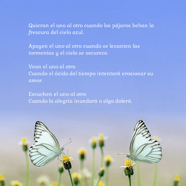 Tarjeta de boda con dos mariposas