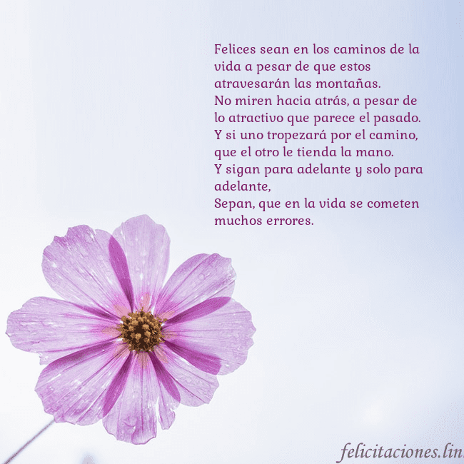 Tarjeta electrónica con flor morada Felices sean en los caminos de la vida a pesar de Tarjeta electrónica con flor morada