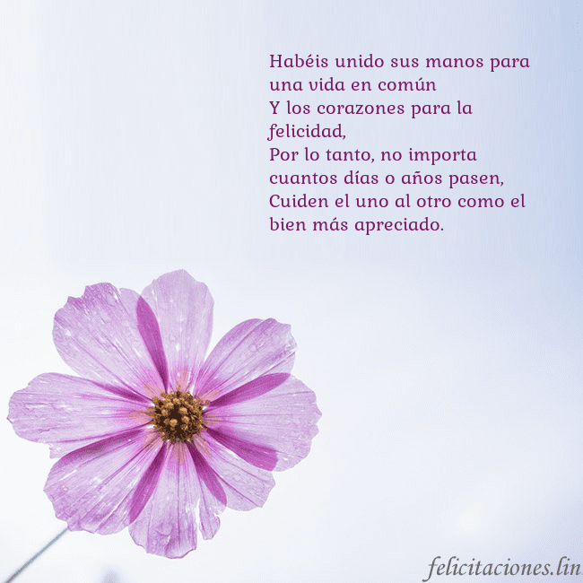 Tarjeta electrónica con flor morada Habéis unido sus manos para una vida en común
Y lo Tarjeta electrónica con flor morada