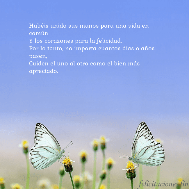 Tarjeta de boda con dos mariposas Habéis unido sus manos para una vida en común
Y lo Tarjeta de boda con dos mariposas