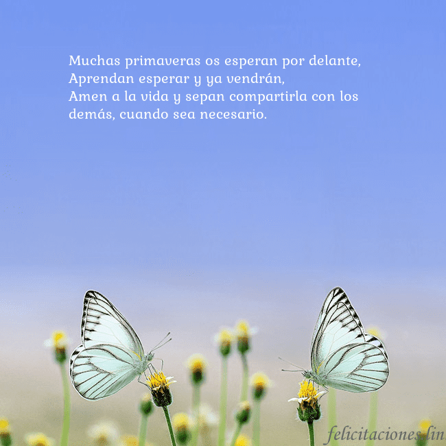 Tarjeta de boda con dos mariposas Muchas primaveras os esperan por delante,
Aprendan Tarjeta de boda con dos mariposas