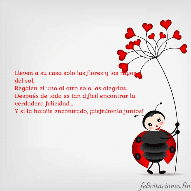 Tarjeta con mariquita Lleven a su casa solo las flores y los rayos del s Tarjeta con mariquita