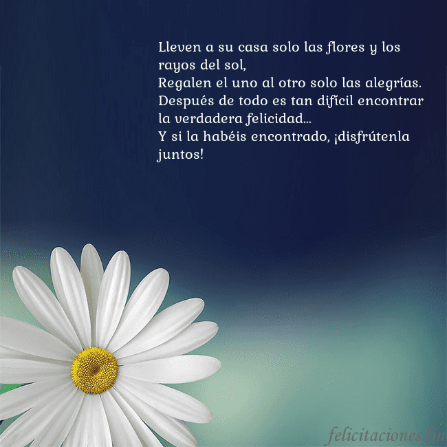 Postal con una gran margarita Lleven a su casa solo las flores y los rayos del s Postal con una gran margarita
