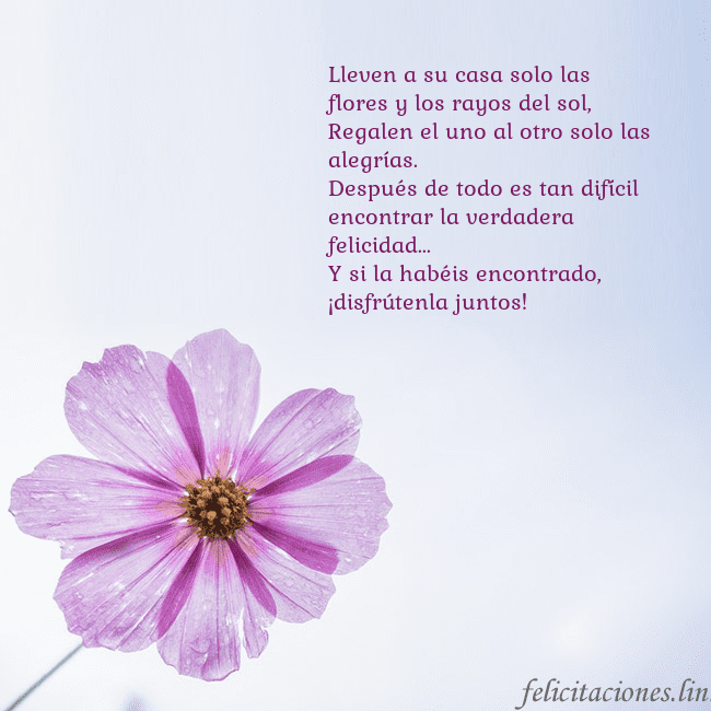 Tarjeta electrónica con flor morada Lleven a su casa solo las flores y los rayos del s Tarjeta electrónica con flor morada