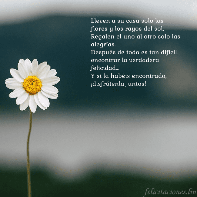Tarjeta electrónica con margarita Lleven a su casa solo las flores y los rayos del s Tarjeta electrónica con margarita