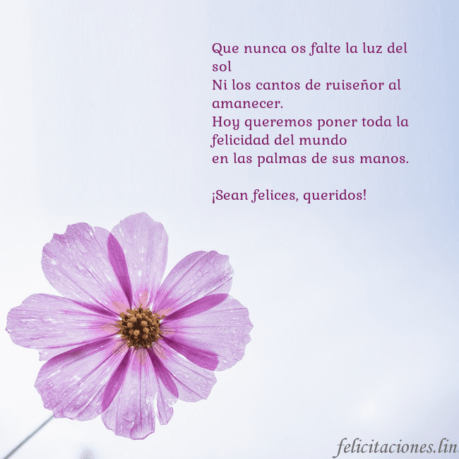 Tarjeta electrónica con flor morada Que nunca os falte la luz del sol
Ni los cantos de Tarjeta electrónica con flor morada