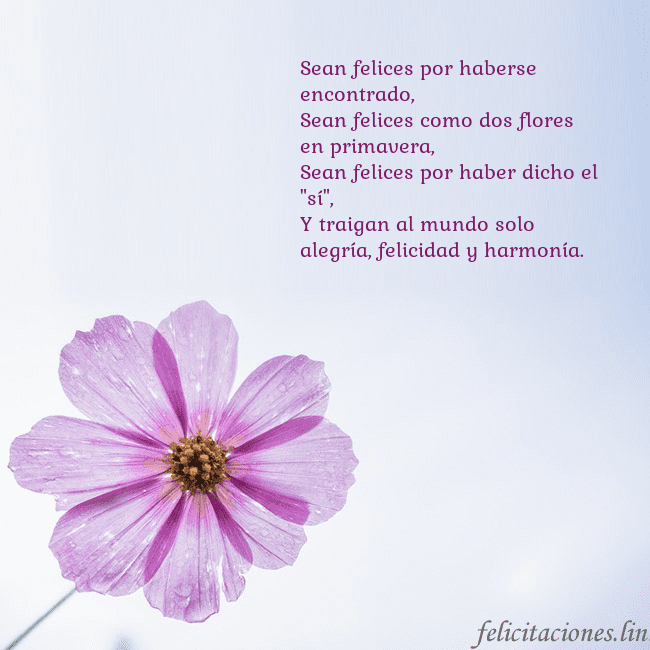Tarjeta electrónica con flor morada Sean felices por haberse encontrado,
Sean felices Tarjeta electrónica con flor morada