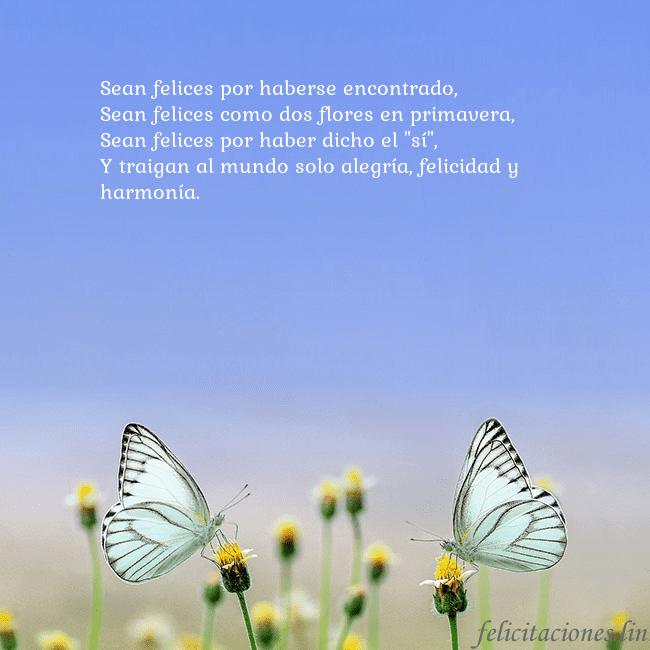 Tarjeta de boda con dos mariposas Sean felices por haberse encontrado,
Sean felices Tarjeta de boda con dos mariposas