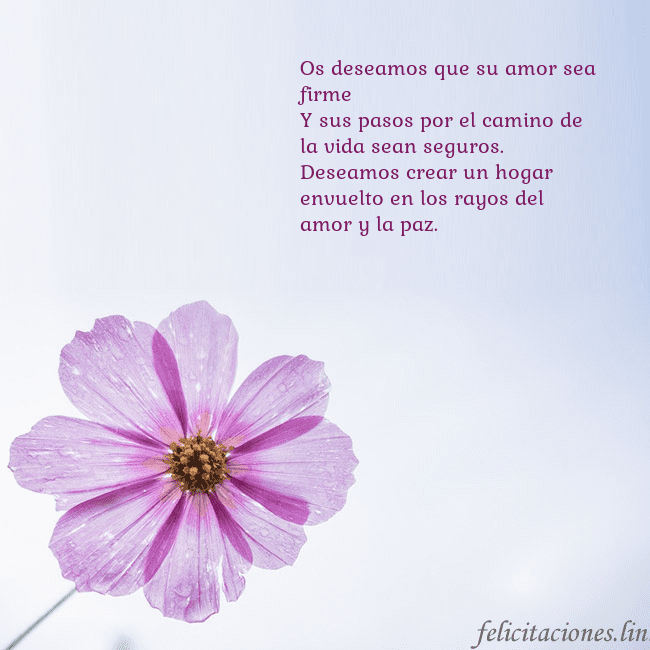 Tarjeta electrónica con flor morada Os deseamos que su amor sea firme
Y sus pasos por Tarjeta electrónica con flor morada