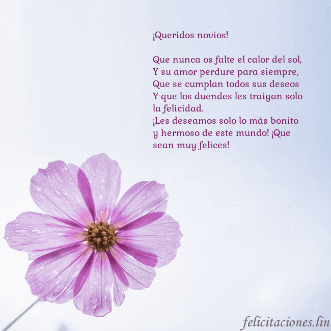 Tarjeta electrónica con flor morada
¡Queridos novios!
Que nunca os falte el calor de Tarjeta electrónica con flor morada