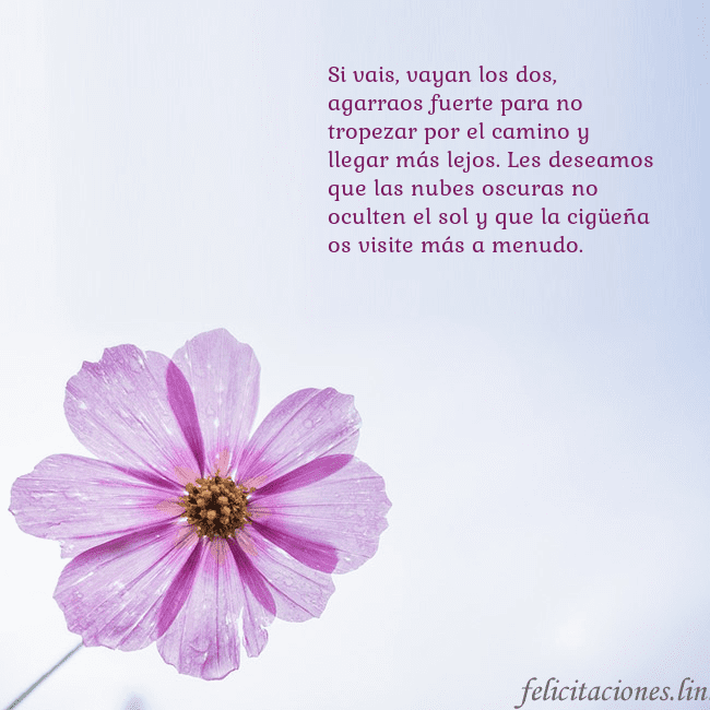 Tarjeta electrónica con flor morada Si vais, vayan los dos, agarraos fuerte para no tr Tarjeta electrónica con flor morada
