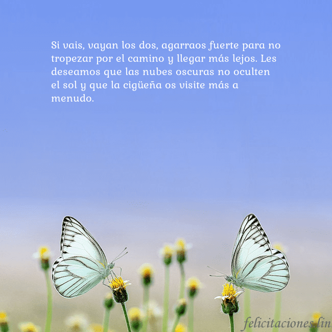 Tarjeta de boda con dos mariposas Si vais, vayan los dos, agarraos fuerte para no tr Tarjeta de boda con dos mariposas