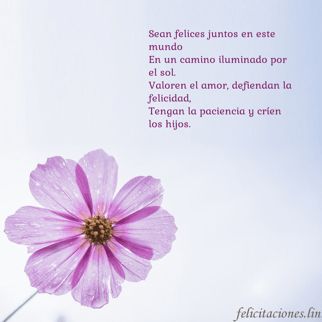 Tarjeta electrónica con flor morada Sean felices juntos en este mundo
En un camino ilu Tarjeta electrónica con flor morada