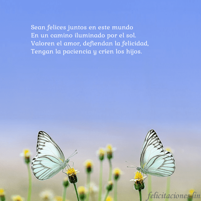 Tarjeta de boda con dos mariposas Sean felices juntos en este mundo
En un camino ilu Tarjeta de boda con dos mariposas