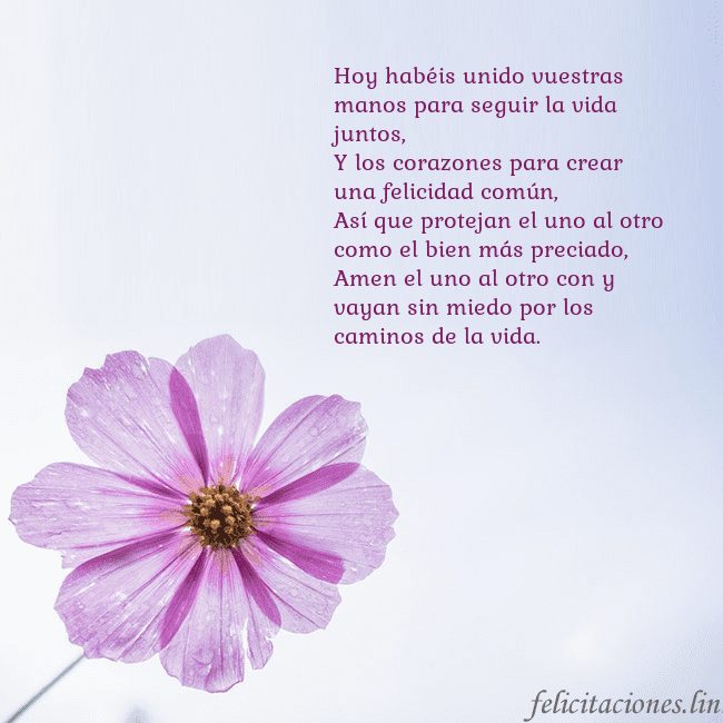 Tarjeta electrónica con flor morada Hoy habéis unido vuestras manos para seguir la vid Tarjeta electrónica con flor morada