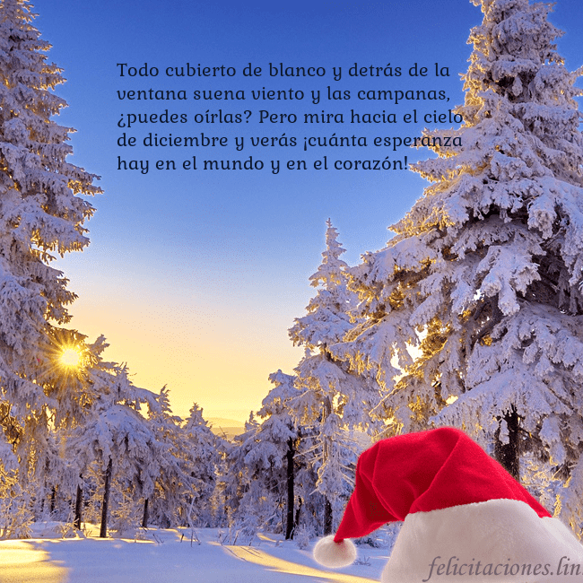 Tarjetas electrónicas de Navidad con bosque nevado Todo cubierto de blanco y detrás de la ventana sue Tarjetas electrónicas de Navidad con bosque nevado