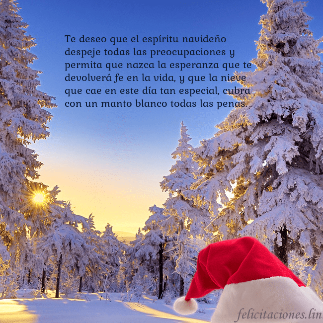 Tarjetas electrónicas de Navidad con bosque nevado Te deseo que el espíritu navideño despeje todas la Tarjetas electrónicas de Navidad con bosque nevado