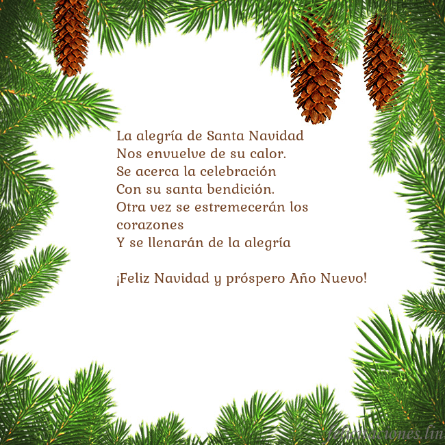 Tarjeta con conos de abeto