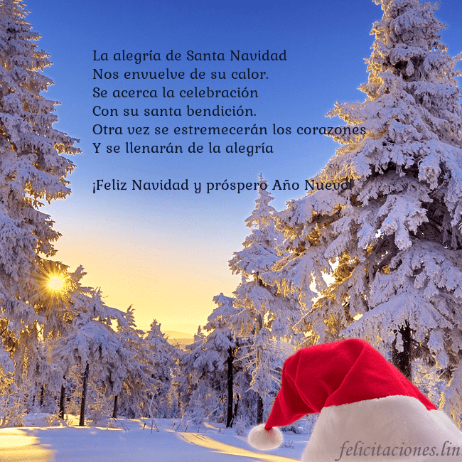 Tarjetas electrónicas de Navidad con bosque nevado La alegría de Santa Navidad
Nos envuelve de su ca Tarjetas electrónicas de Navidad con bosque nevado