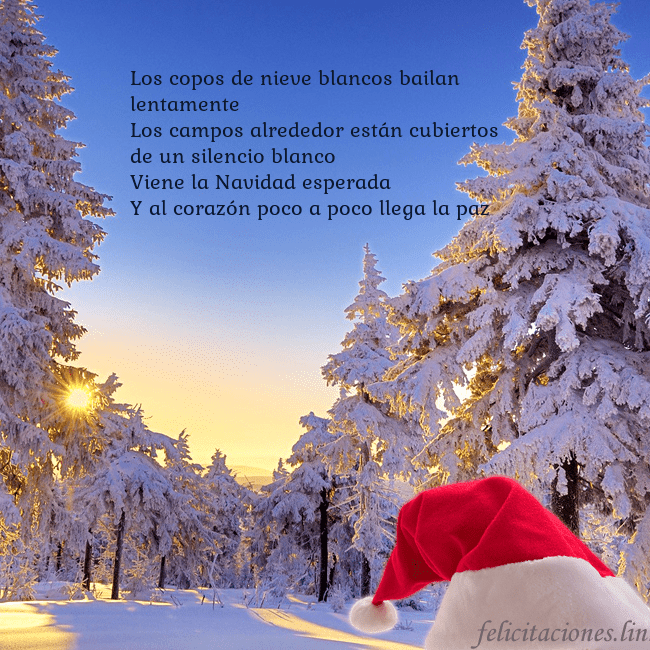 Tarjetas electrónicas de Navidad con bosque nevado Los copos de nieve blancos bailan lentamente
Los Tarjetas electrónicas de Navidad con bosque nevado