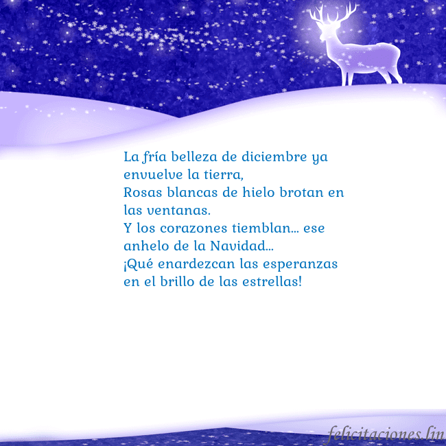 Tarjeta con con nieve y un ciervo brillante La fría belleza de diciembre ya envuelve la tierra Tarjeta con con nieve y un ciervo brillante