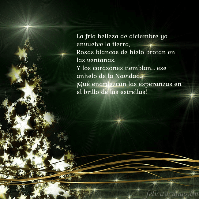 Tarjeta de Navidad verde con árbol dorado brillante La fría belleza de diciembre ya envuelve la tierra Tarjeta de Navidad verde con árbol dorado brillante