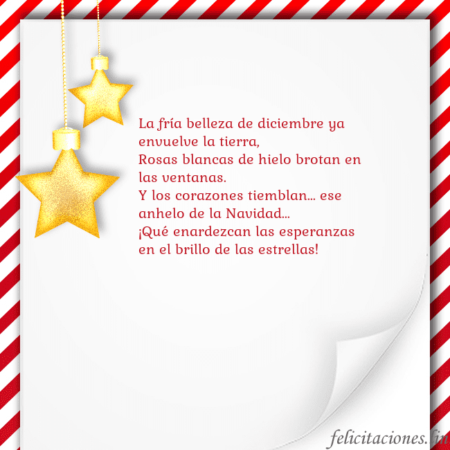 Tarjeta con estrellas doradas