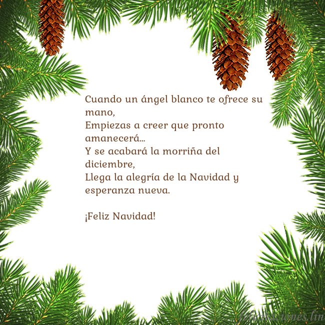 Tarjeta con conos de abeto Cuando un ángel blanco te ofrece su mano,
Empiezas Tarjeta con conos de abeto