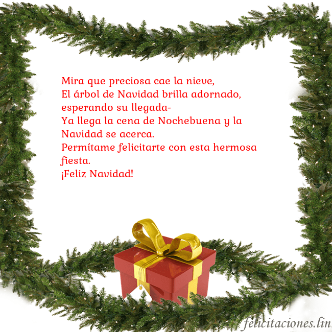 Tarjeta con ramas de abeto y regalo