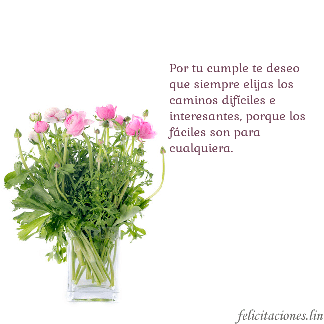 Tarjeta con flores en un jarrón Por tu cumple te deseo que siempre elijas los cami Tarjeta con flores en un jarrón