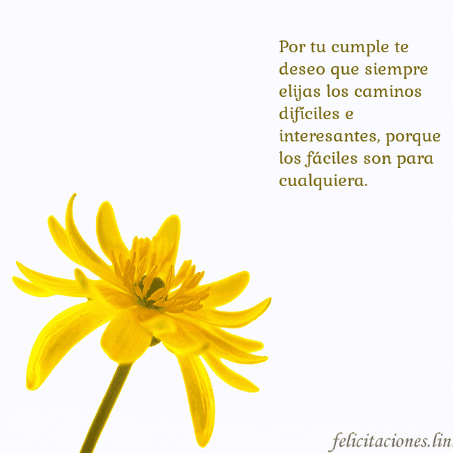 Tarjeta de cumpleaños con flor amarilla