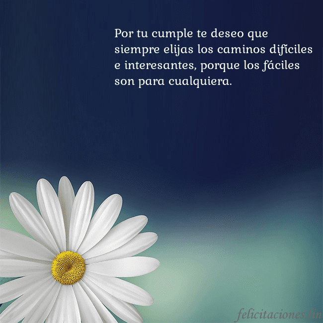 Postal con una gran margarita Por tu cumple te deseo que siempre elijas los cami Postal con una gran margarita
