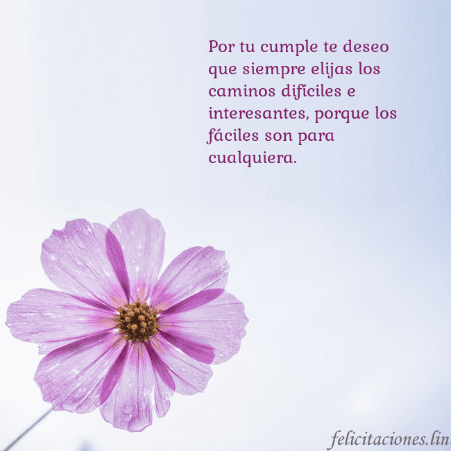 Tarjeta electrónica con flor morada Por tu cumple te deseo que siempre elijas los cami Tarjeta electrónica con flor morada