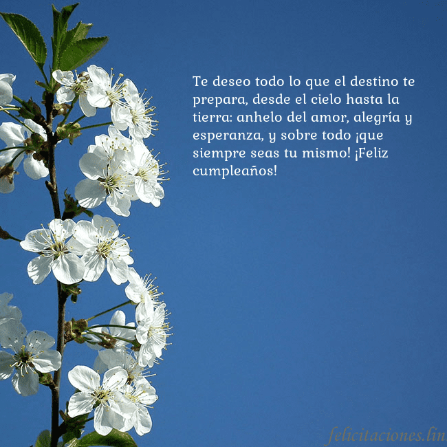 Tarjeta de cumpleaños con flores de primavera Te deseo todo lo que el destino te prepara, desde Tarjeta de cumpleaños con flores de primavera