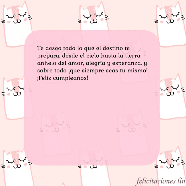 Tarjeta de cumpleaños rosa con gatos divertidos