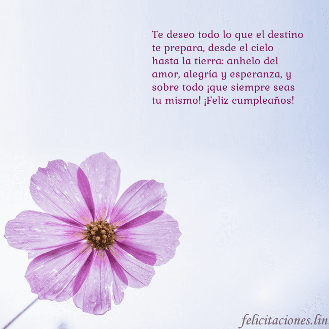 Tarjeta electrónica con flor morada Te deseo todo lo que el destino te prepara, desde Tarjeta electrónica con flor morada