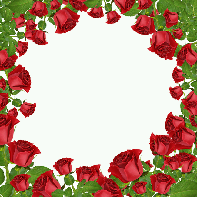 Tarjetas de San Valentín Tarjeta con con muchas rosas